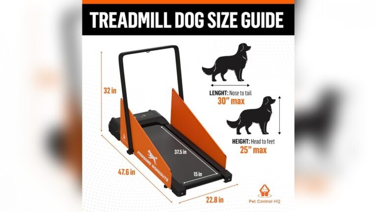 Size Guide Folding Treadmill: Find the Perfect Fit Fast
