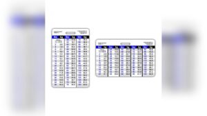 Weight Plates Kg Vs Lbs Conversion